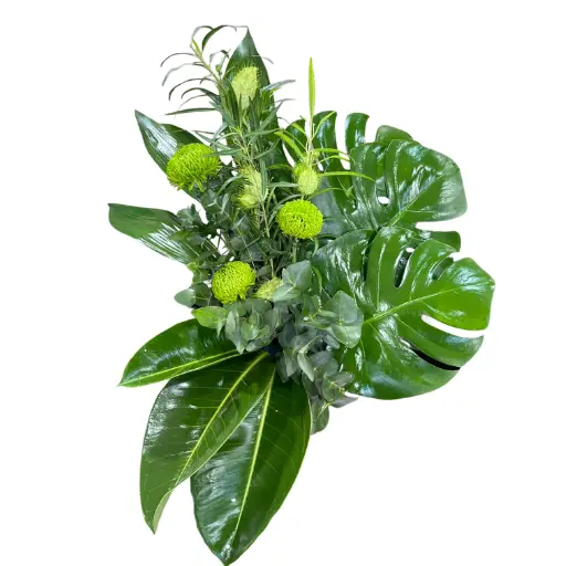 Arreglo de verde kroma